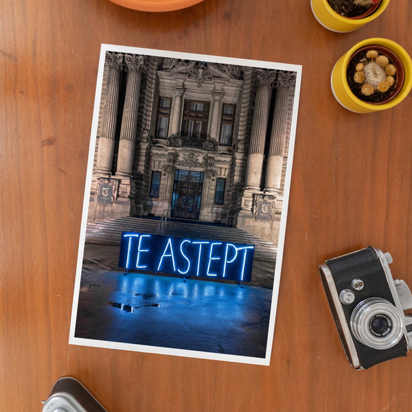 "Te asept", Bucharest, Romania 2021 - 20x30 cm / 30x40 cm - edition of 500